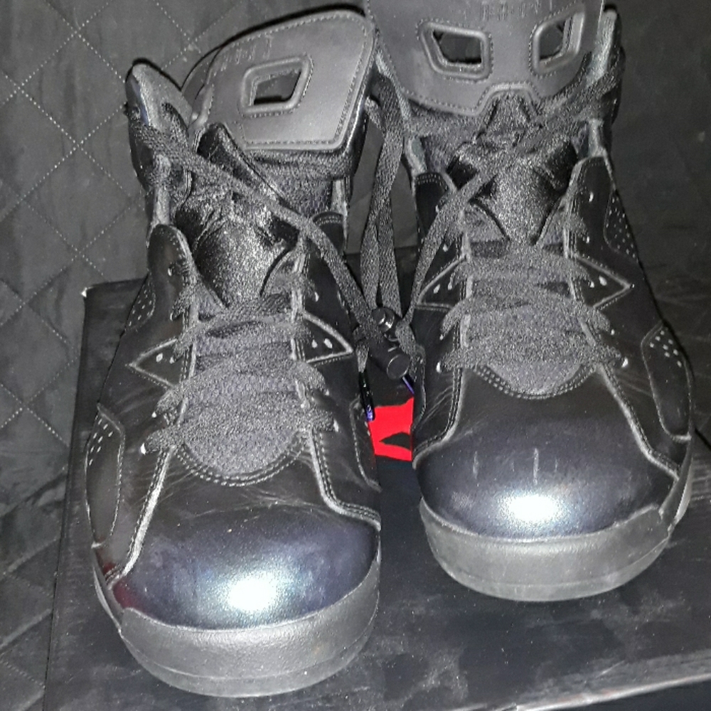 Air jordans chameleons